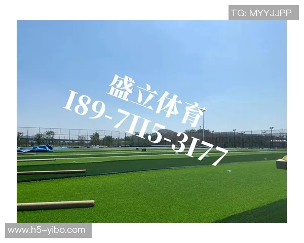 足球场人造草皮造价分析及影响因素探讨与市场趋势预测 足球场人造草皮造价分析及影响因素探讨与市场趋势预测